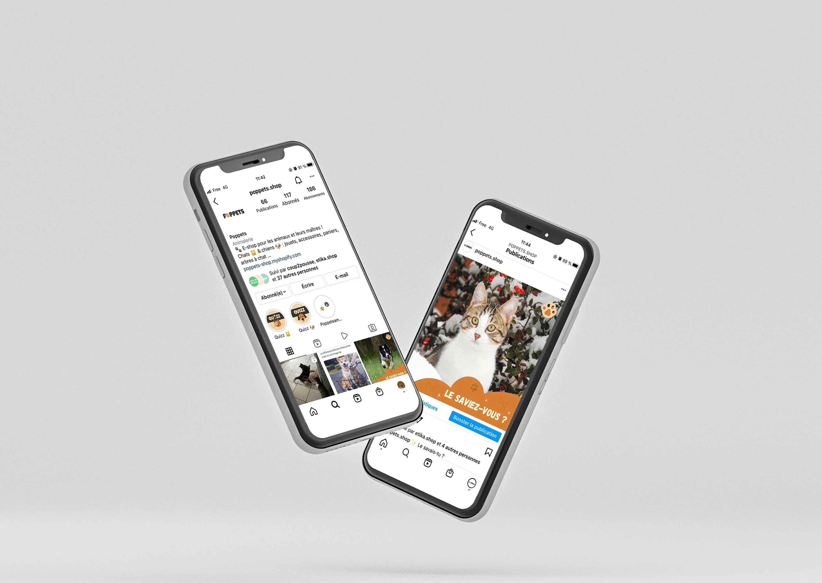 Présentation de la page Instagram de Poppets